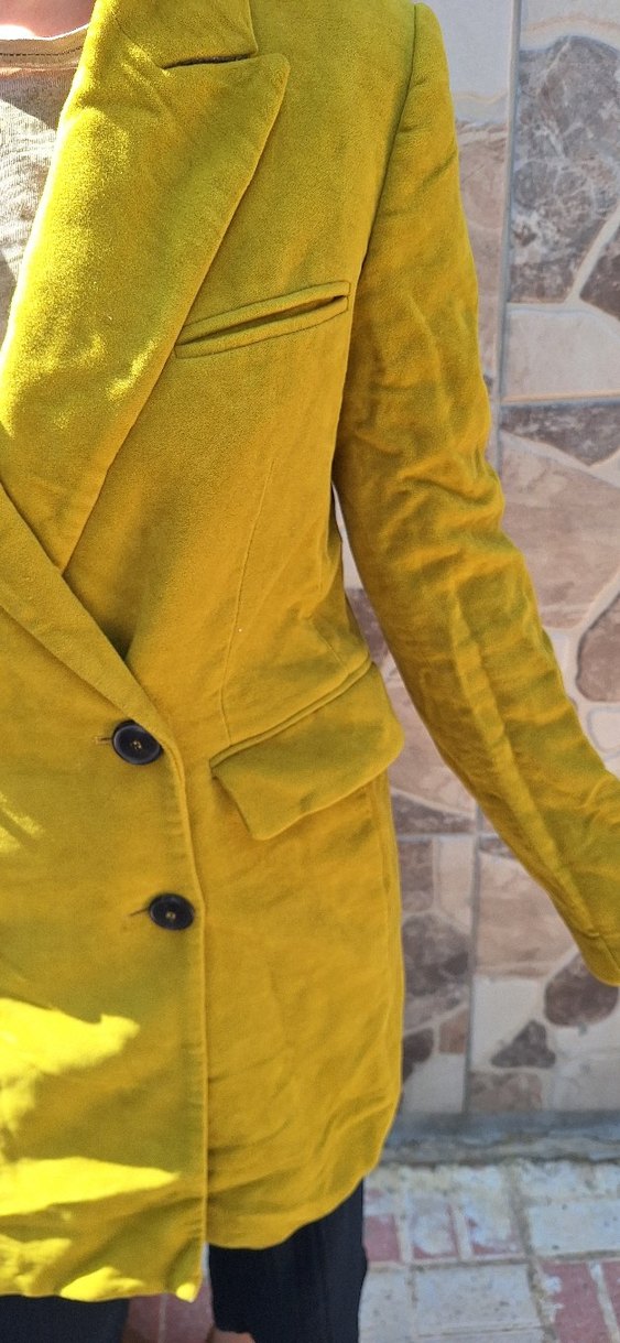 Sarı Düğmeli Kadın Keten Blazer - Görsel 5