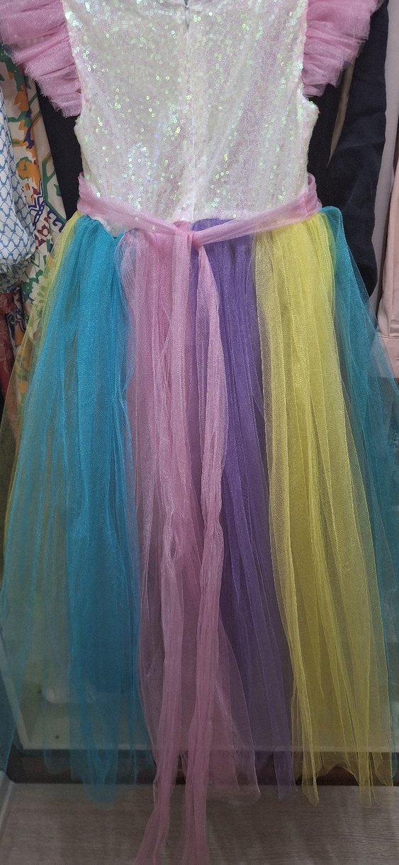 Kız Çocuk Çok Renkli Nakışlı Tül Elbise - Görsel 4