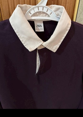Zara Düğmeli Mor Erkek Sweatshirt