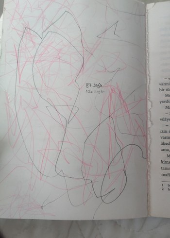 Reşat Nuri Güntekin - Acımak Romanı - Görsel 2