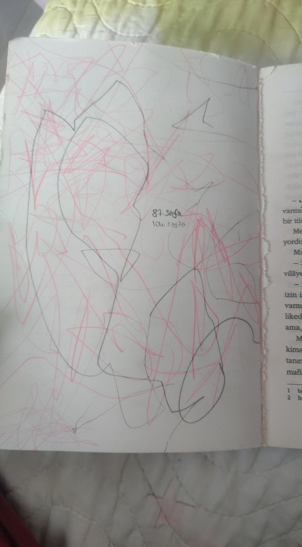 Reşat Nuri Güntekin - Acımak Romanı - Görsel 2