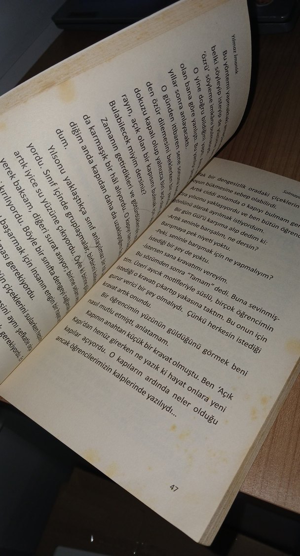 Solmayan Hayaller Ressamı - Yılmaz İmanlık - Görsel 2