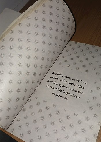 Sadako - Cesaret ve Umudun Gerçek Yaşam Öyküsü - Görsel 3