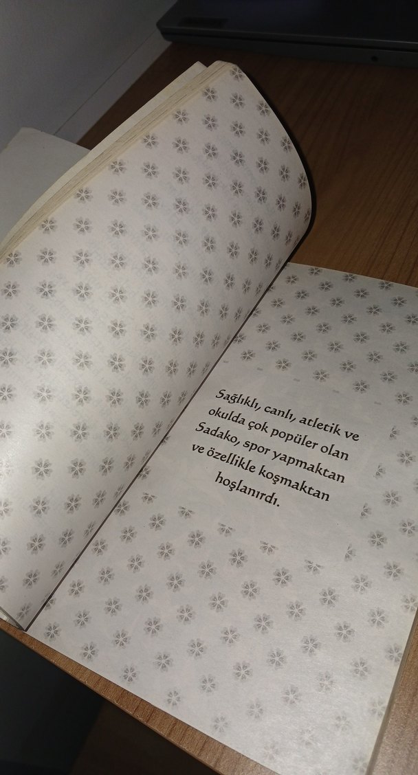 Sadako - Cesaret ve Umudun Gerçek Yaşam Öyküsü - Görsel 3