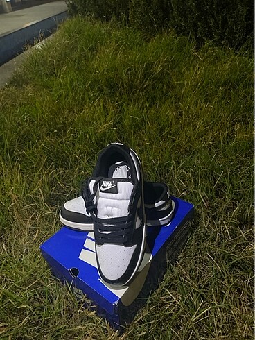 Nike Dunk Low