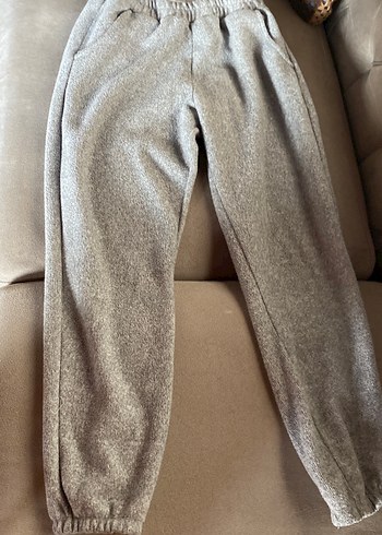 walt-disney-world xl