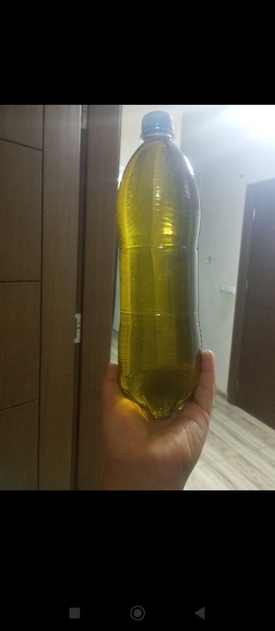 organik zeytinyağı - Görsel 2