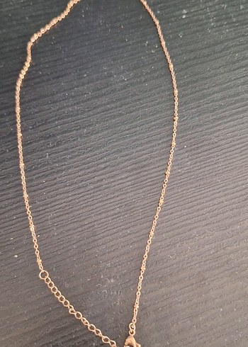 Diğer Minimal Altin Zincir Kolye