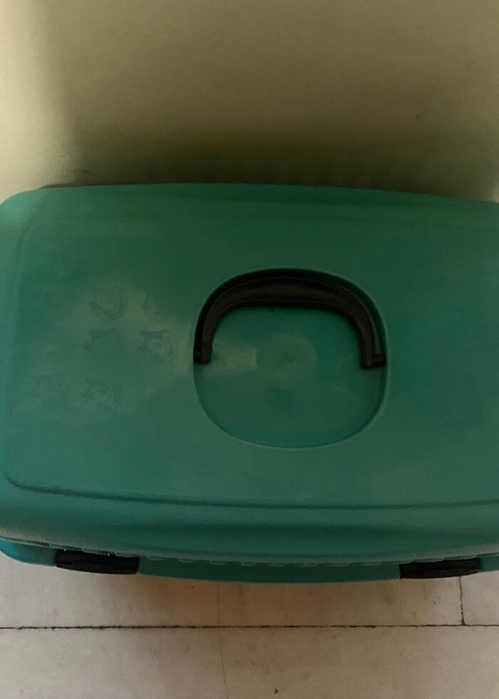 Kedi sepeti - Görsel 2