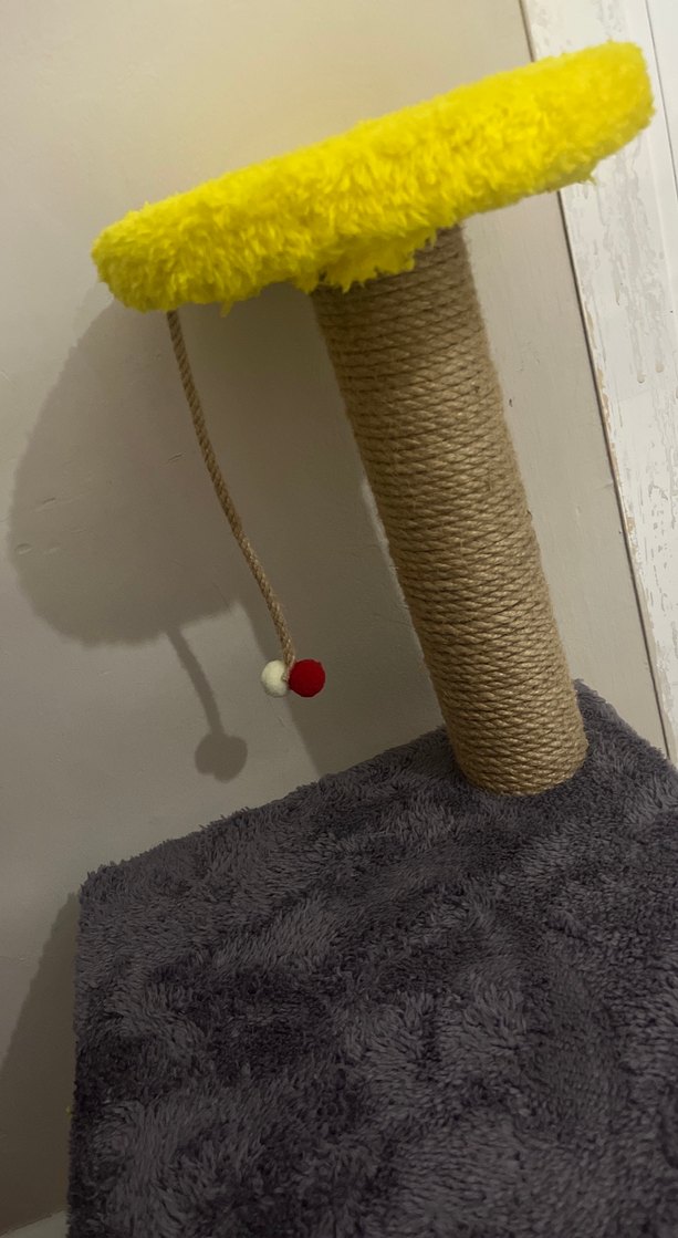 Gri ve Sarı Kedi Tırmalama Tahtası - Görsel 2