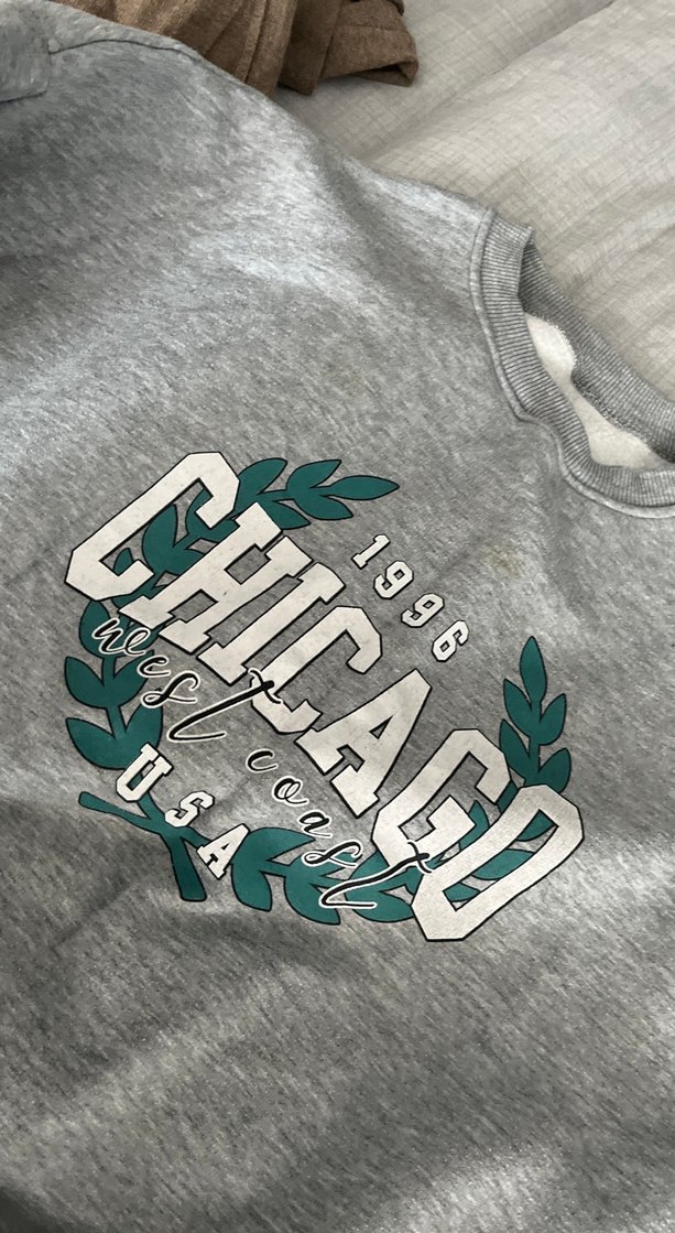 Gri Baskılı Kadın Sweatshirt - Görsel 2