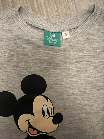 Walt Disney World Disnep takım