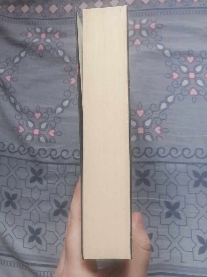 Bülbül Kapanı 1 ciltsiz ayraçlı - Loresima - Görsel 3