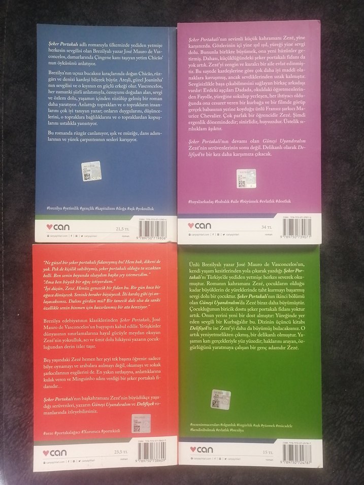 Güneşi Uyandıralım - José Mauro de Vasconcelos - Görsel 3