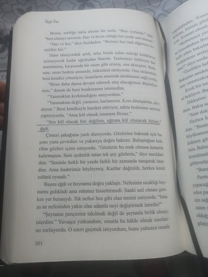 İmzalı Ciltli Bronz 1 - Özge naz - Görsel 3