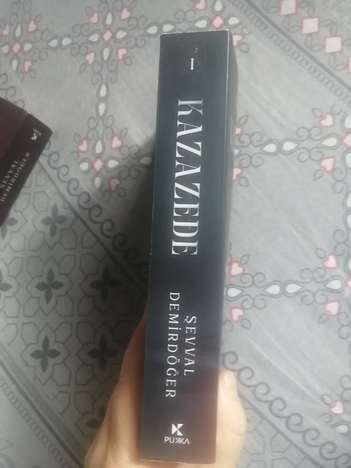 Kazazede 1 - Sevval Demirdöğen - Görsel 2