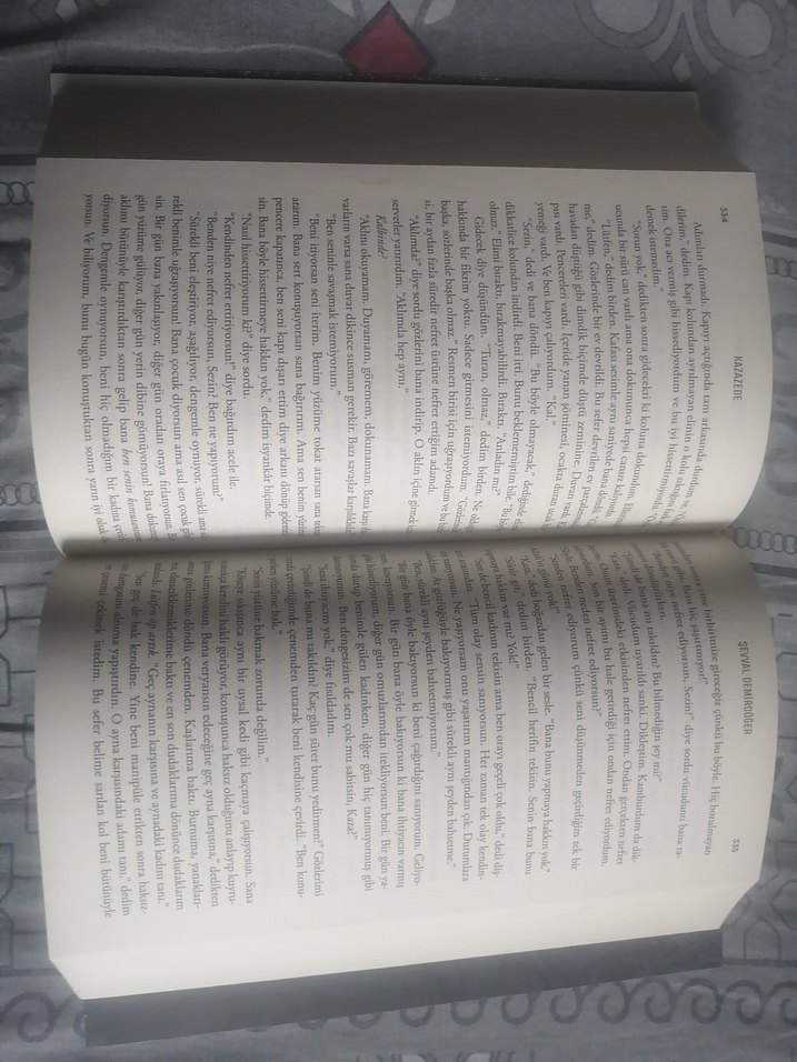 Kazazede 1 - Sevval Demirdöğen - Görsel 4