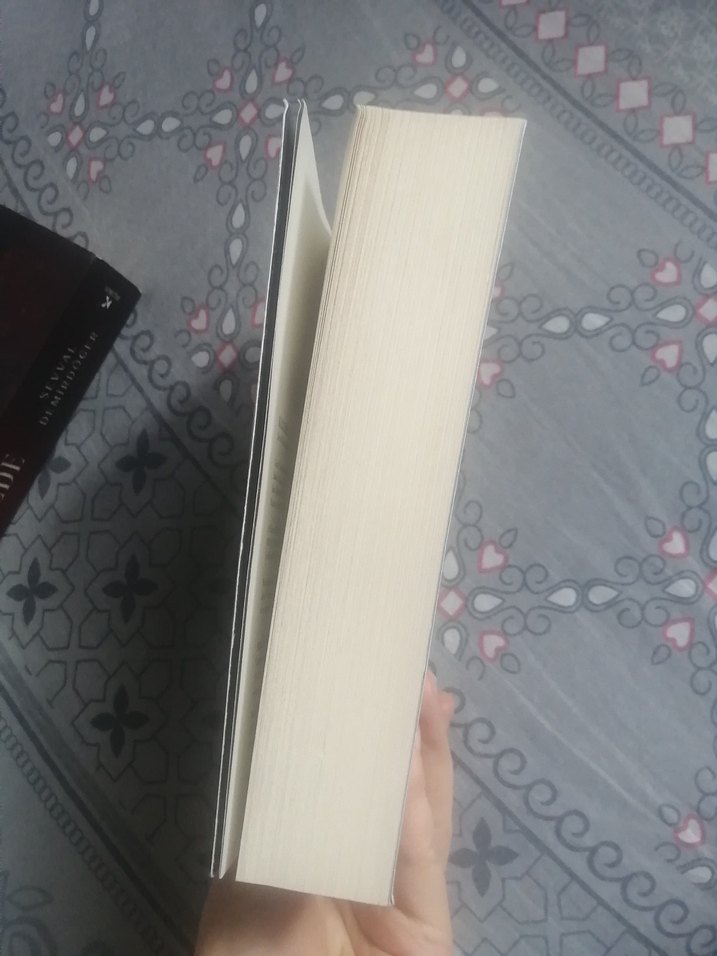 Kazazede 1 - Sevval Demirdöğen - Görsel 3