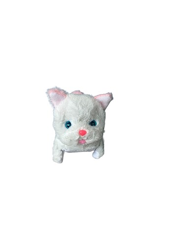  Pilli miyavlayan yürüyen kedi