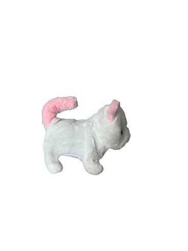  Beden Pilli miyavlayan yürüyen kedi