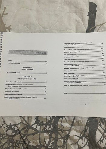 DSM-5 Tanı Ölçütleri kitabı çıktısı - Görsel 2