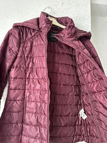 Collezione Mango mont