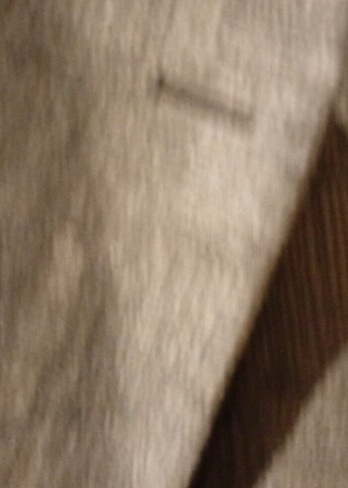 Que Erkek keten ceket  - Görsel 4