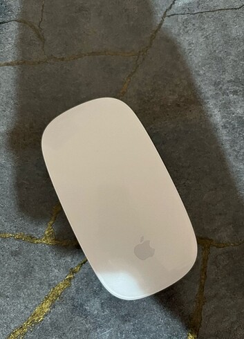 Mouse