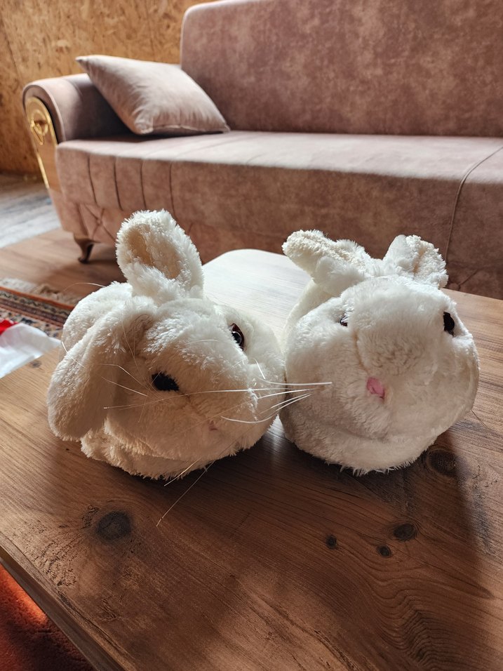 Nakışlı Beyaz Tavşan Figürlü Kız Ev Terliği - Görsel 3