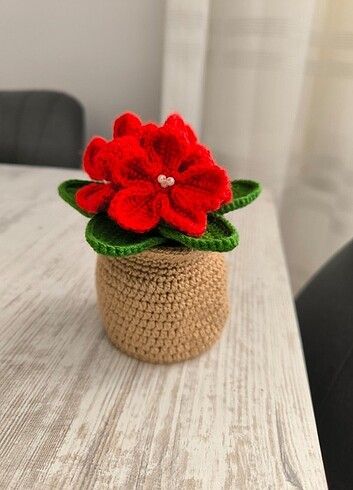 Menekşe 