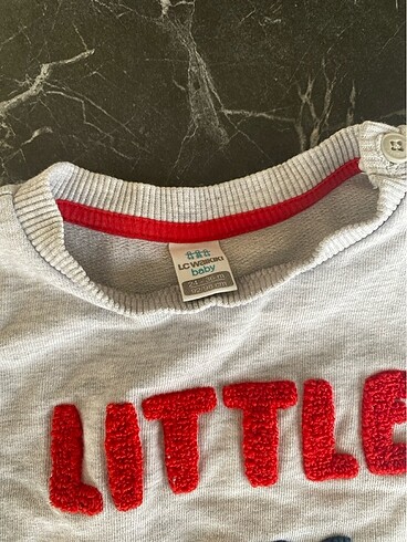 LC Waikiki Lcw swaetshirt