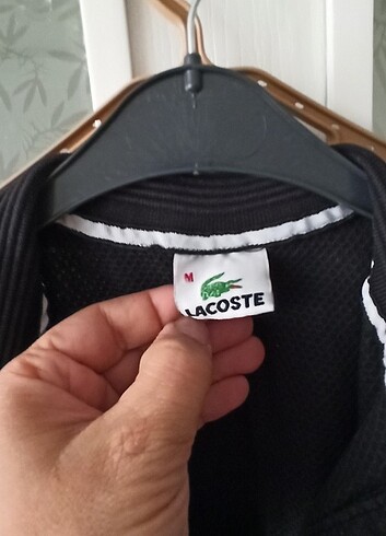 Lacoste Lacoste