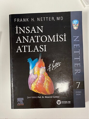 netter atlas