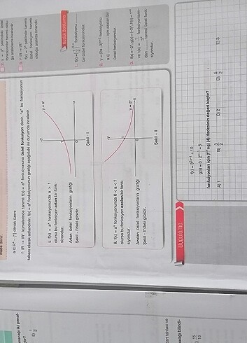 Beden Renk Palme Anlatım Föyleri (Matematik) AYT