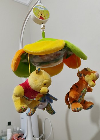 kurmalı dönence - Görsel 2