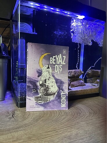 Beyaz Diş