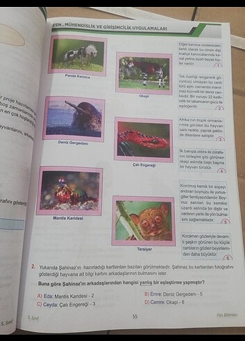 5.sınıf fen soru bankası  - Görsel 4