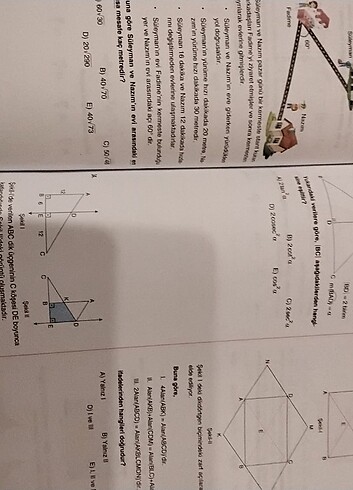  Altın karma ayt matematik branş denemeleri 