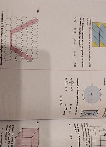  Beden Altın karma ayt matematik branş denemeleri 