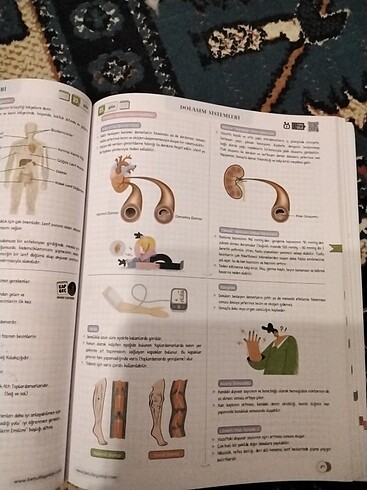  Beden Betül Biyoloji Ayt kitabı