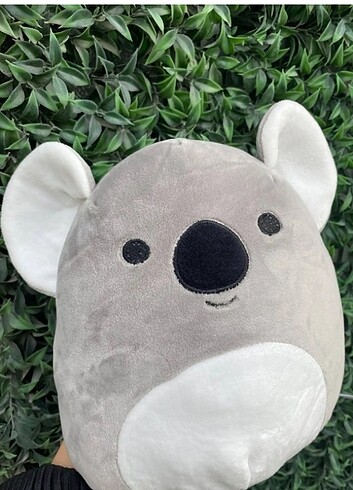 Diğer Koala peluş yastık 