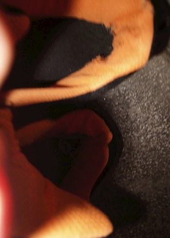 Platform Topuklu Siyah Spor Ayakkabı - Görsel 7