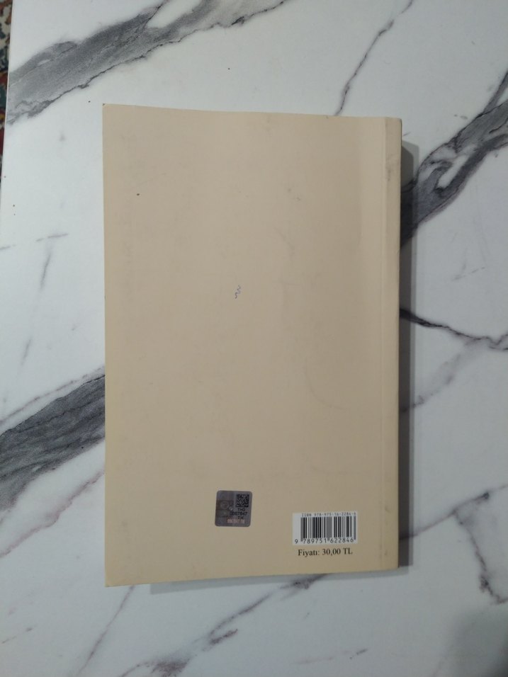 Görüp İşittiklerim - Ali Fuat Cebesoy - Görsel 4