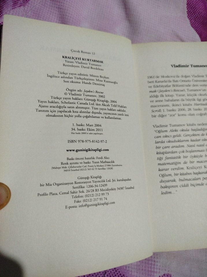 Kraliceyi Kurtarmak - Vladimir Tumanov - Görsel 4