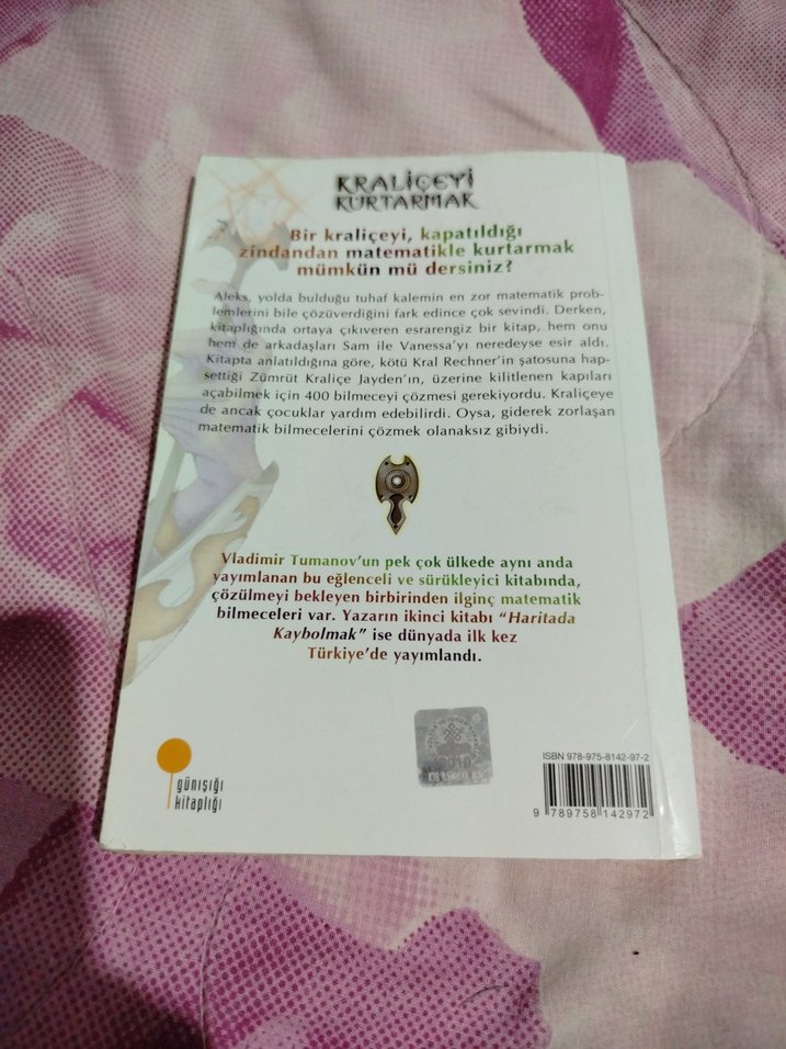 Kraliceyi Kurtarmak - Vladimir Tumanov - Görsel 2