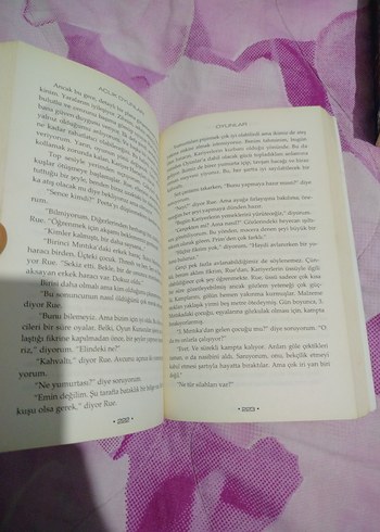 Açlık Oyunları - Suzanne Collins - Görsel 4