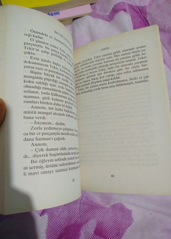 Ben de Çocuktum - Aziz Nesin - Görsel 3