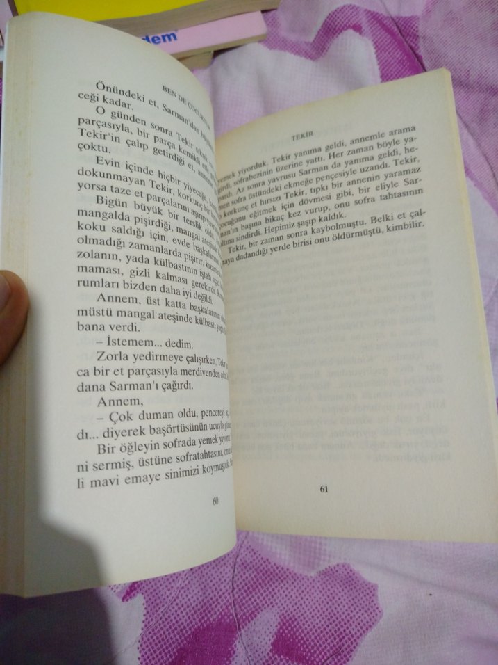 Ben de Çocuktum - Aziz Nesin - Görsel 3