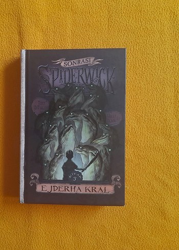 Spiderwick Sonrası Ejderha Kral Romanı