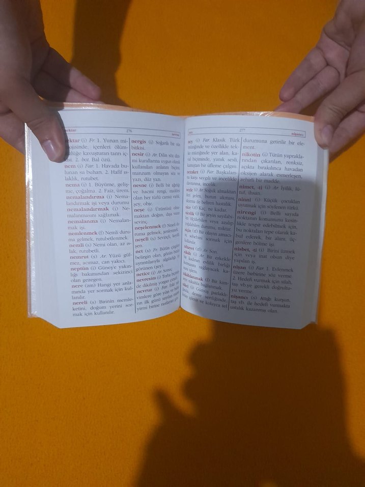 Türkçe Sözlük - Görsel 3